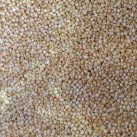 quinoa blanca